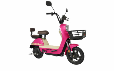 Sepeda listrik dan motor listrik NIDU GARASI