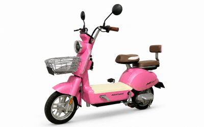 Sepeda listrik dan motor listrik NIDU GARASI