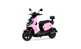 Sepeda listrik dan motor listrik NIDU GARASI