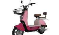 Sepeda listrik dan motor listrik NIDU GARASI