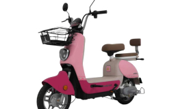 Sepeda listrik dan motor listrik NIDU GARASI